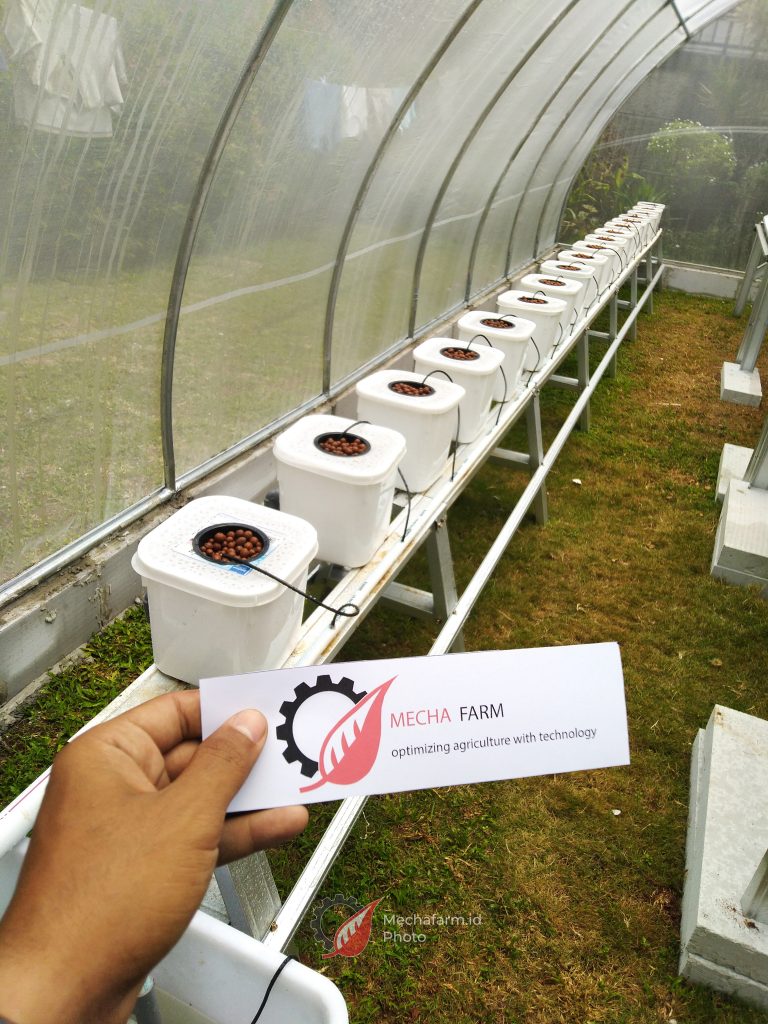 IMG_20210915_110941-768x1024